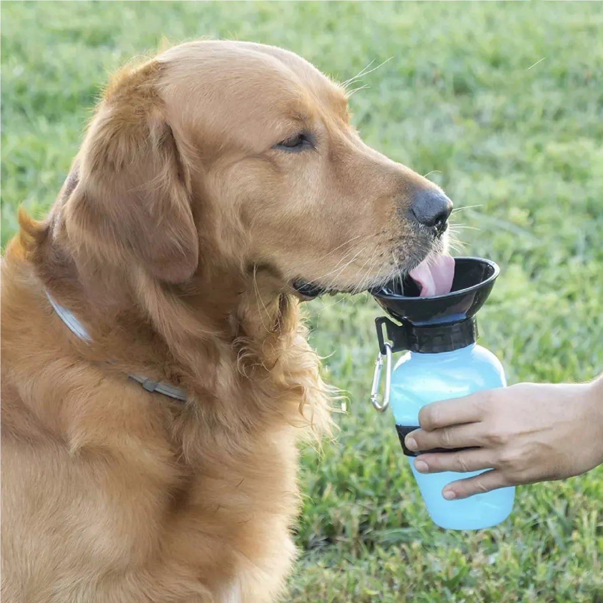 Filtro de agua para perro portable